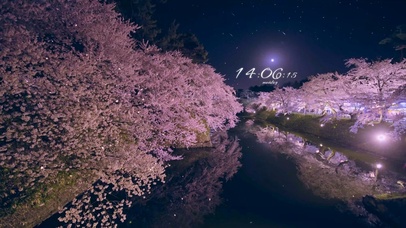 夜晚河岸樱花雨