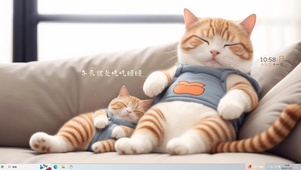 可爱懒散的猫咪
