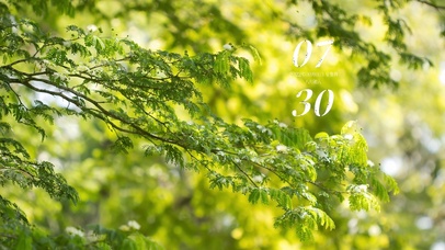 4k高清治愈小清新