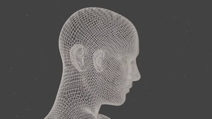3D线性人像
