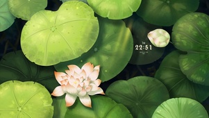 护眼治愈荷叶