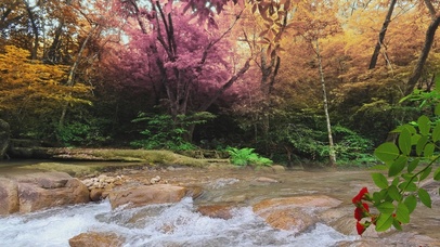 小溪