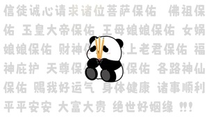 拜神熊猫