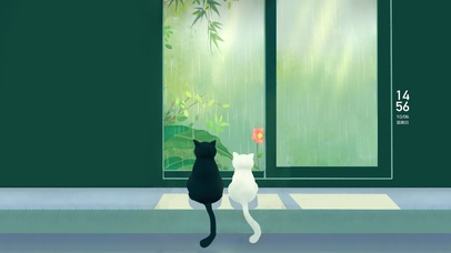 窗边的猫咪 可爱治愈