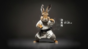 功夫兔