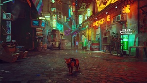 4k 赛博朋克夜市古街小猫