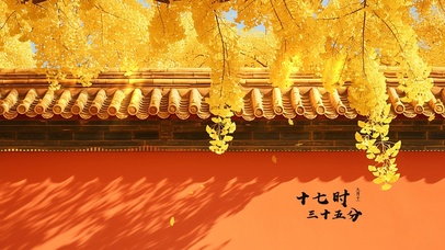 深秋·红墙·银杏叶