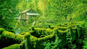 林中小屋