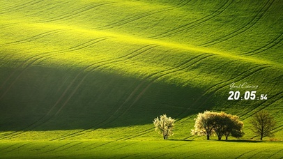唯美护眼绿色治愈风景