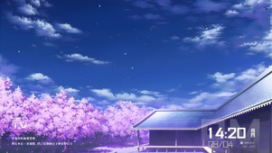 我的樱花花园