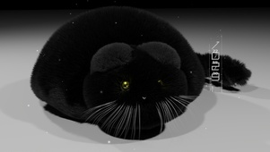大黑猫子