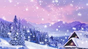 雪山雪松