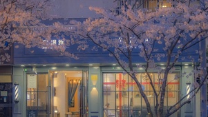 治愈樱花