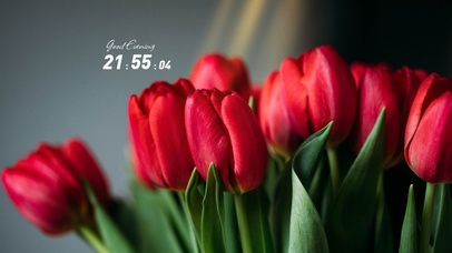 4k清新简约桌面