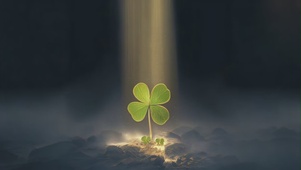 好运连连-四叶草