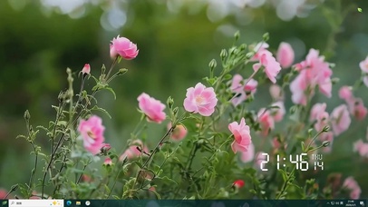 护眼绿景花草树木桌面主题