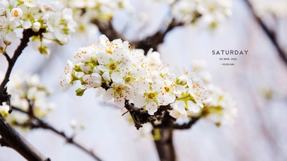 4K惊蛰万物复苏