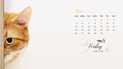 猫咪数字日历