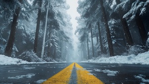 暴雪森林公路
