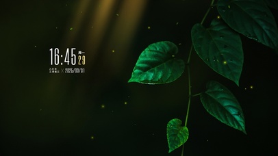 4k绿野仙踪系列