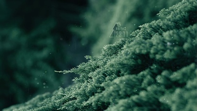 清新护眼雨天绿叶