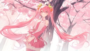 樱花树下初音