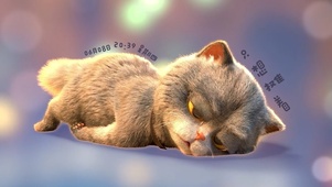 斑布猫-只想摊着