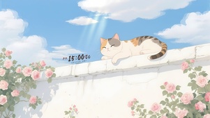 墙头瞌睡猫咪