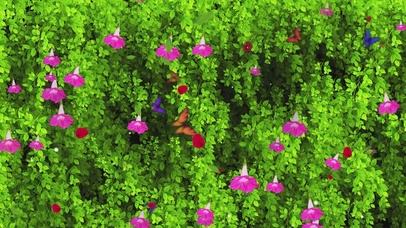 唯美的春天绿色植物