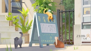 营业的小猫咪