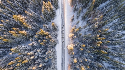 4K俯视森林雪景