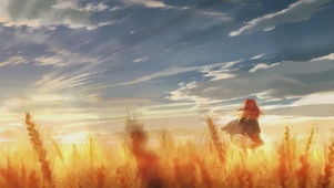 spice and wolf 
