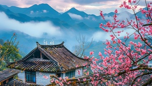 桃花云雾山水