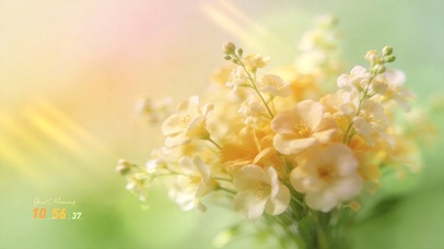 奶油高级感 清新花束