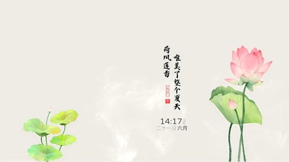 荷花惊艳了整个夏天