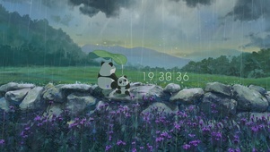 治愈清新雨天的小熊猫