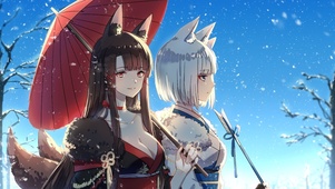 赤城加贺
