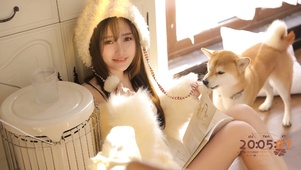 美女与柴犬