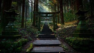 山林神社阶梯