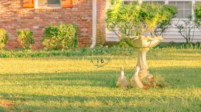 4K唯美治愈花园