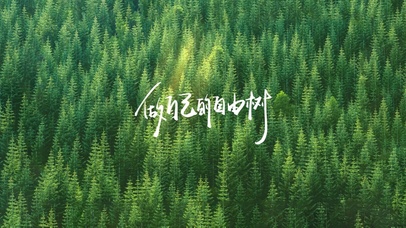 做自己的自由树