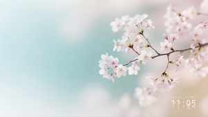 清新唯美霜雪李