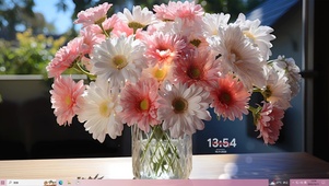 清新阳台小雏菊