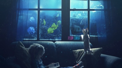 窗外的海洋世界