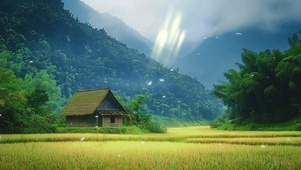 青山漫雾