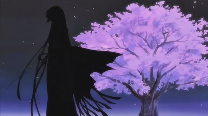 樱花树下梦一场