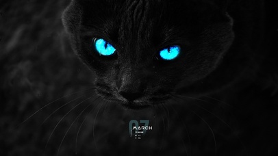 写轮眼黑猫【4K超清治愈】