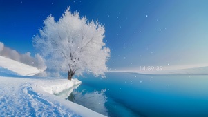 湖边雪松