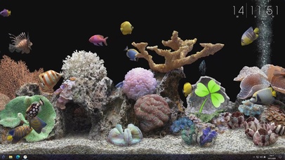 4k梦幻水族箱主题