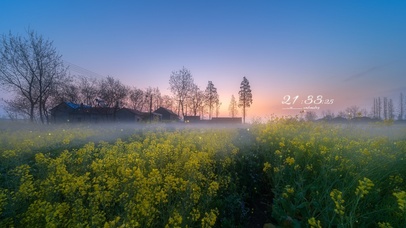 5K 春意盎然夕阳油菜花美景